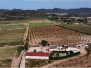 Casa rústica / Caserío en Venta en Lorca