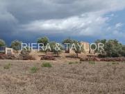 Casa rústica / Caserío en Venta en Manacor