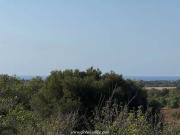 Casa rústica / Caserío en Venta en Manacor
