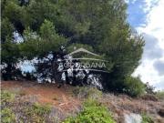 Terreno en Venta en Motril