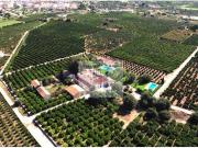 Casa rústica / Caserío en Venta en Ondara