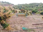 Casa rústica / Caserío en Venta en Pizarra