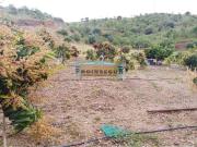 Casa rústica / Caserío en Venta en Pizarra