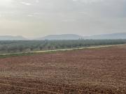 Terreno en Venta en Porzuna