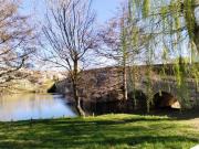 Casa rústica / Caserío en Venta en Puentedura