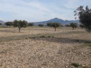 Casa rústica / Caserío en Venta en Salinas