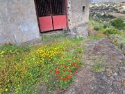 Casa rústica / Caserío en Venta en Santa Brígida