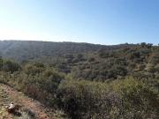 Casa rústica / Caserío en Venta en Talavera de la Reina