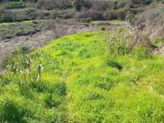 Casa rústica / Caserío en Venta en Teror