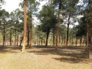 Terreno en Venta en Tiñosillos