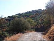 Casa rústica / Caserío en Venta en Torrox
