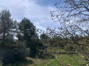 Casa rústica / Caserío en Venta en Tortosa