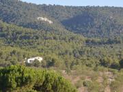 Casa rústica / Caserío en Venta en Villena