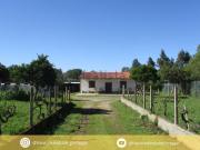 Casa rústica, Castelo Branco