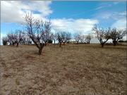 Casa rústica, Cortes de Baza