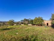Casa rústica, Costitx