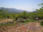 Casa rústica, Culla