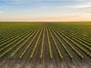 Casa rústica de alto standing de 2400 m2 en venta Inca,...