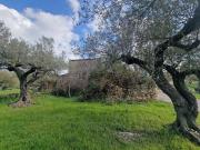 Casa rústica, El Perello