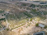 Casa rústica, Elche / Elx