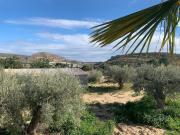 Casa rústica, Elche / Elx