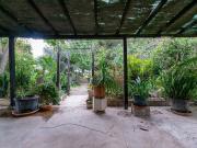 Casa rústica, Elche / Elx