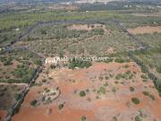 Casa rustica en venta en Llubí
