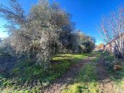 Casa rústica, Encinarejo de Córdoba, Córdoba