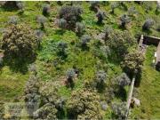 Casa rústica, Escalos de Baixo e Mata