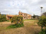 Casa rústica, Establiments, Palma de Mallorca