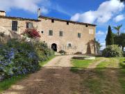 Casa rústica, Establiments, Palma de Mallorca