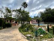 Casa rústica, Establiments, Palma de Mallorca