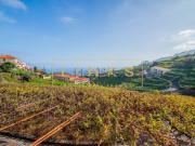 Casa rústica, Estreito Câmara de Lobos Casa rústica, Estreito Câmara de Lobos