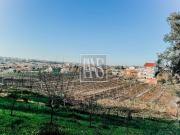 Casa rústica, Fânzeres e São Pedro da Cova