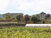 Casa rústica, Gemieira