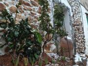 Casa rústica, Godall