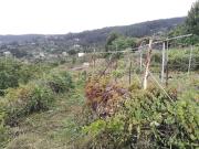 Casa rústica, Icod de los Vinos