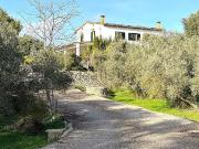 Casa rústica, Selva