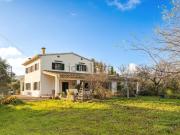 Casa rústica, Selva