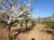 Casa rústica, Jarandilla de la Vera