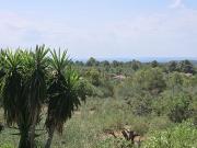 Casa rústica, L&apos Ametlla de Mar