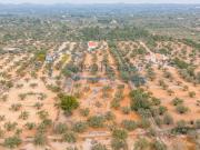 Casa rústica, L&apos Ampolla