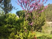 Casa rústica, La Peza