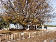 Casa rústica, Les Bassetes El Marjal, Denia