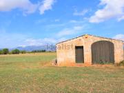 Casa rústica, Llubi