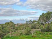 Casa rústica, Llucmajor