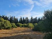 Casa rústica, Lagos