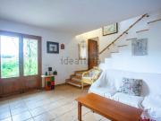 Casa rústica, Manacor