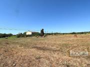 Casa rústica, Manacor