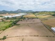 Casa rústica, Manacor